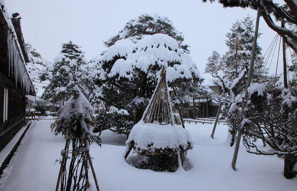 豪農の館　伊藤邸(北方文化博物館）_e0096372_403977.jpg