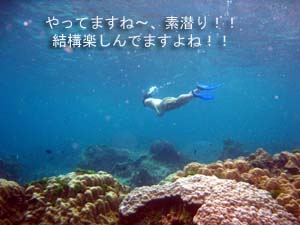 のんびりリゾートに♪ラチャヤイ島_f0144385_19404366.jpg