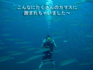 のんびりリゾートに♪ラチャヤイ島_f0144385_19412965.jpg