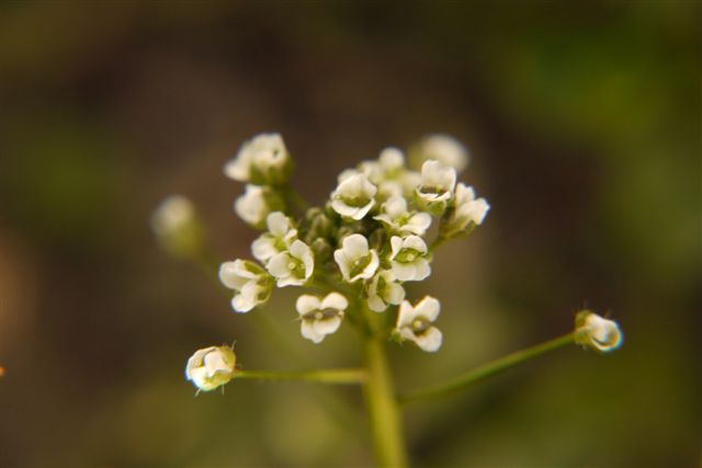 b0175688_20501236.jpg
