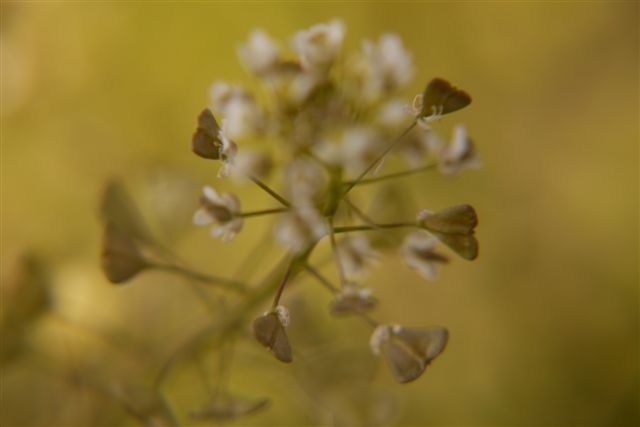b0175688_2050256.jpg