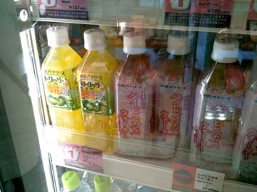 沖縄バヤリース_c0108695_9552389.jpg