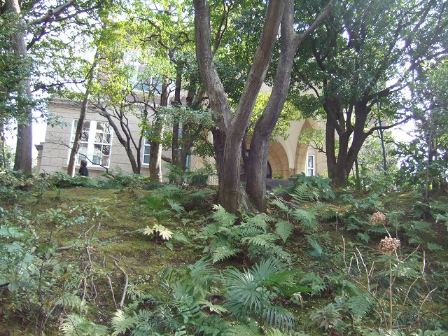 鳩山会館を見学しました・・・_b0141906_114351100.jpg