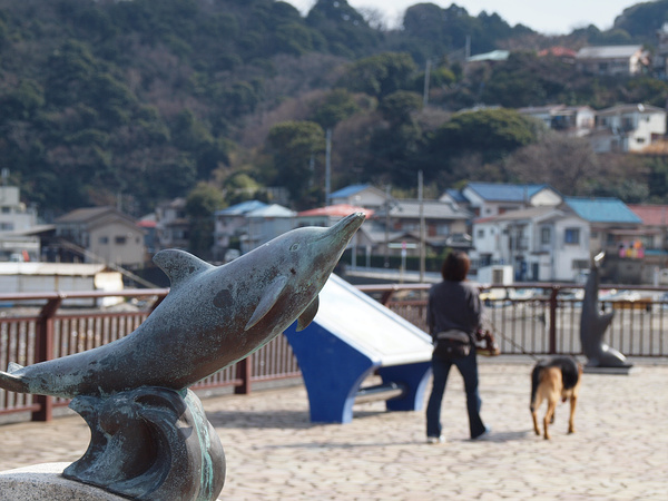 伊豆～春を捜しに行く旅２（海女の小屋）_f0180607_2581025.jpg