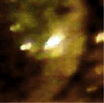 e0103408_12362715.gif