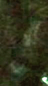 e0103408_12364075.gif