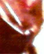 e0103408_12365453.gif