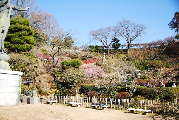 中山寺の蕎麦と梅_f0203612_0423967.jpg