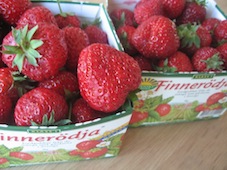 e0187320_1025166.jpg