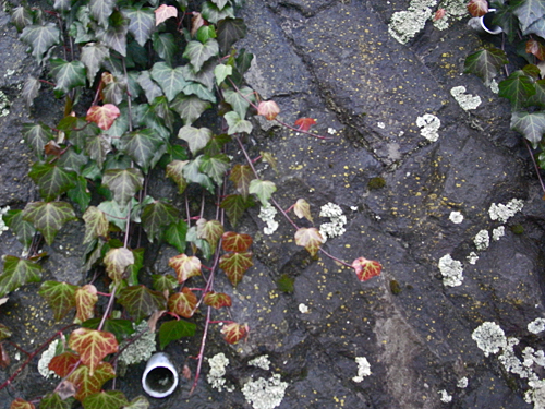 A beautiful heart_d0108333_14422950.jpg