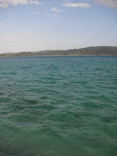 a0153139_02315.jpg