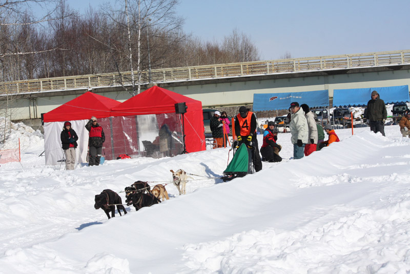 nakasatsunai sled dog race_f0218549_16181877.jpg