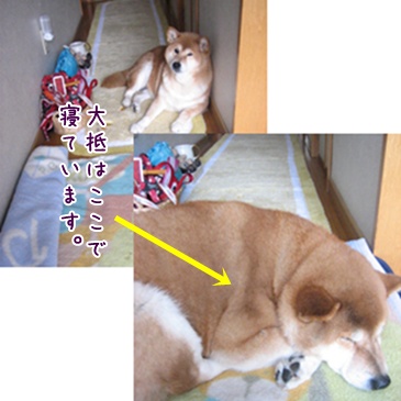 親子と言えどもこの違い_c0049950_16164254.jpg