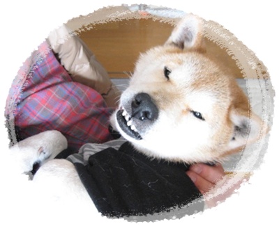 親子と言えどもこの違い_c0049950_23132411.jpg