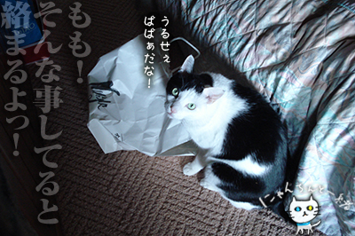おバカちん再来_e0031853_329331.jpg