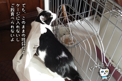 おバカちん再来_e0031853_5143947.jpg