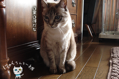 おバカちん再来_e0031853_5161281.jpg