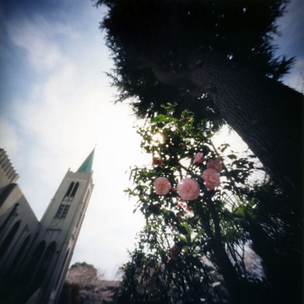 祈りの空間 カトリック山手教会 「光・風・灯 展」 Pinhole Photography_f0117059_20301217.jpg