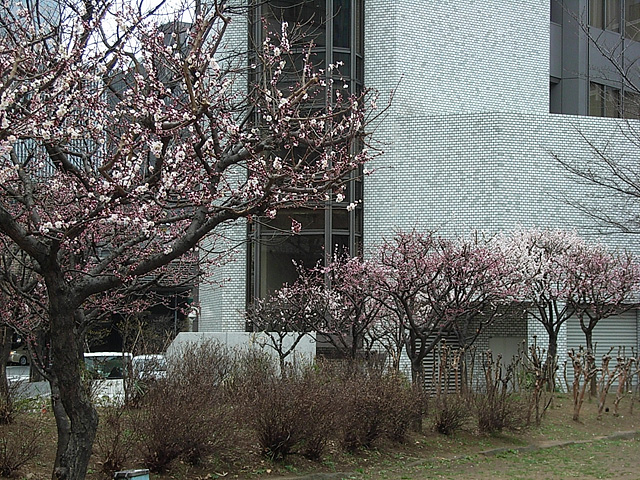 b0006870_19575691.jpg