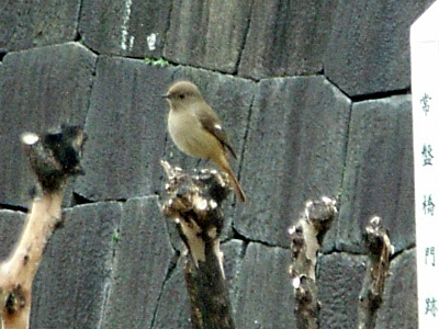 b0006870_2052184.jpg