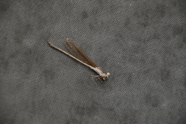 f0088971_23144848.jpg