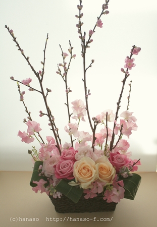 春っぽく_c0198981_16303984.jpg