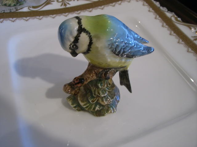 森を歩きましょ................._d0127182_1538589.jpg