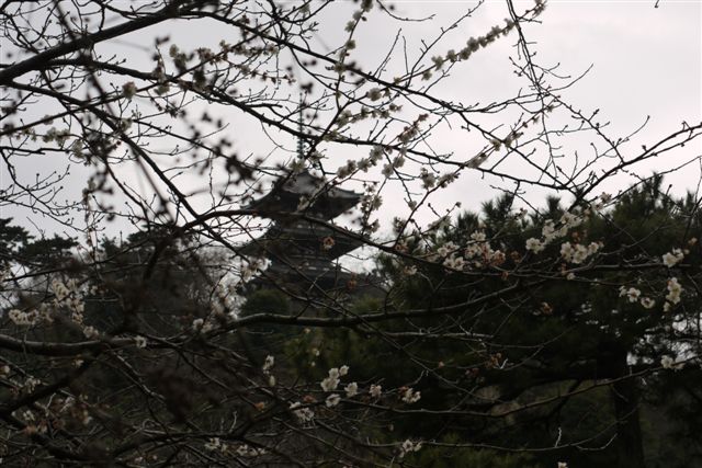 b0175688_23501699.jpg