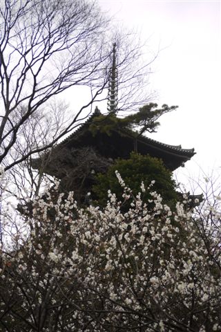 b0175688_23502881.jpg