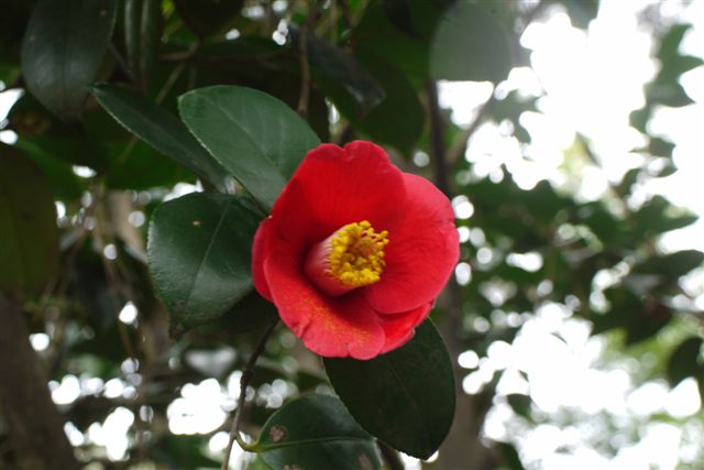 b0175688_23515520.jpg