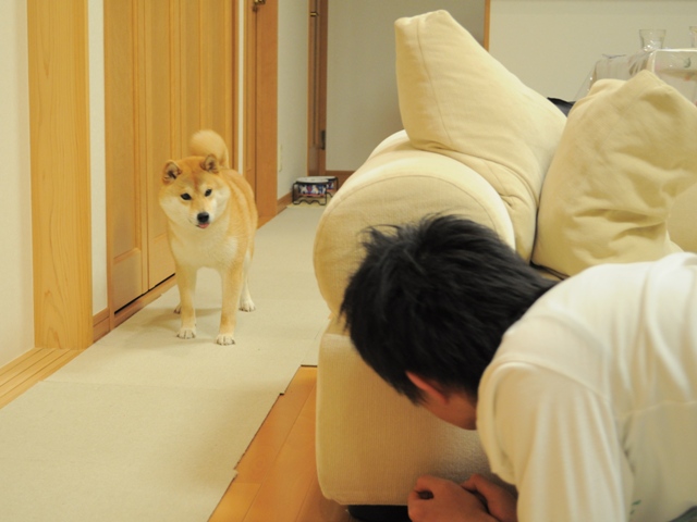 逃げるが勝ち_a0126590_23402313.jpg