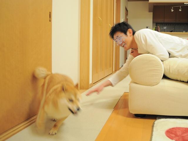 逃げるが勝ち_a0126590_23515432.jpg