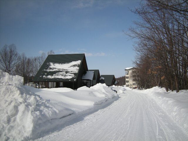 b0138798_15341590.jpg