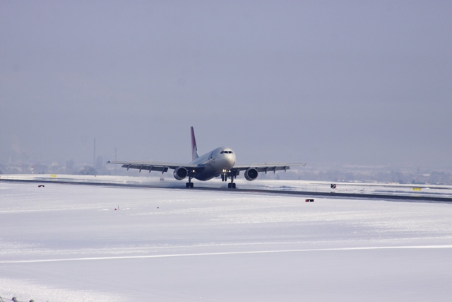 b0138798_1537064.jpg