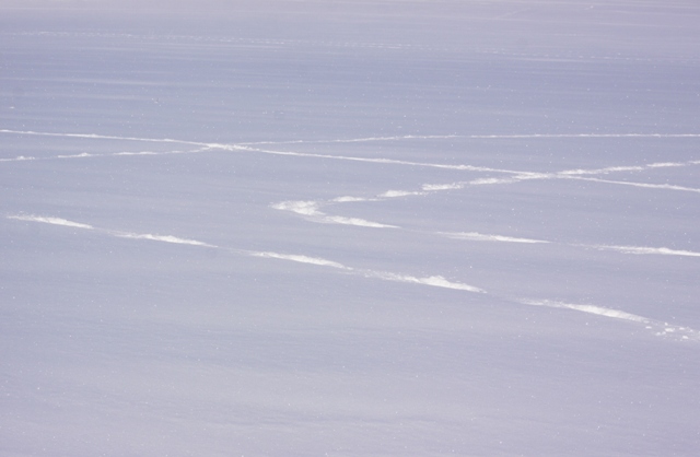 b0138798_15421290.jpg