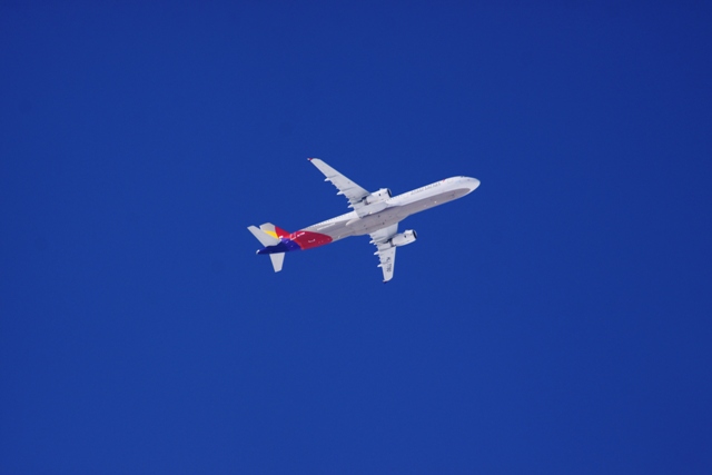 b0138798_16272148.jpg