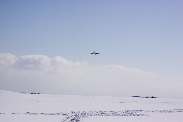 b0138798_16441699.jpg