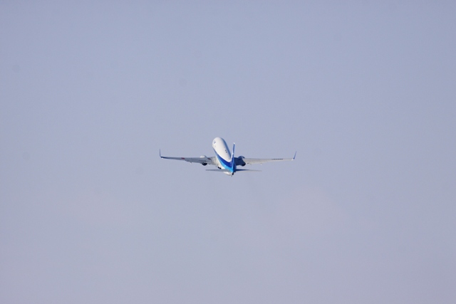 b0138798_1814558.jpg