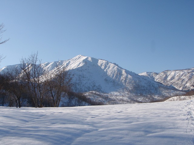 c0147398_22585831.jpg
