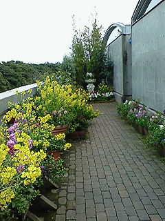 d0012611_22485276.jpg