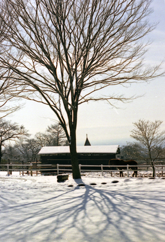 c0050712_1633921.jpg