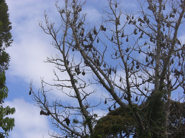 f0207320_14122647.jpg
