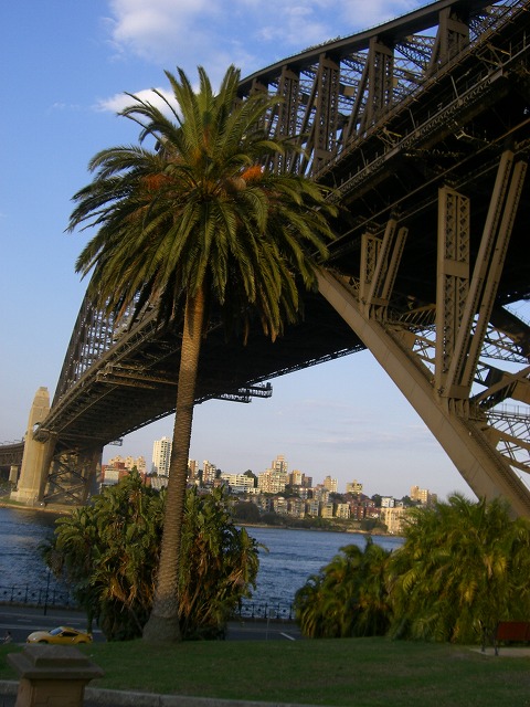 f0207320_1428675.jpg