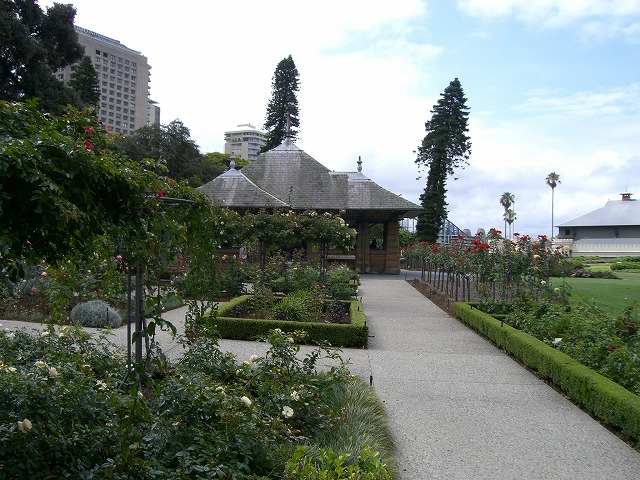 f0207320_1453139.jpg