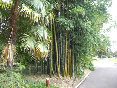 f0207320_1483796.jpg
