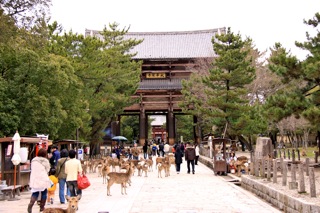週末旅行 : 奈良1日目_d0010432_17185737.jpg