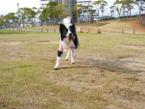 ゆるっとね！　　　　　　　　　　　2010年2月27日_b0106643_23165461.jpg