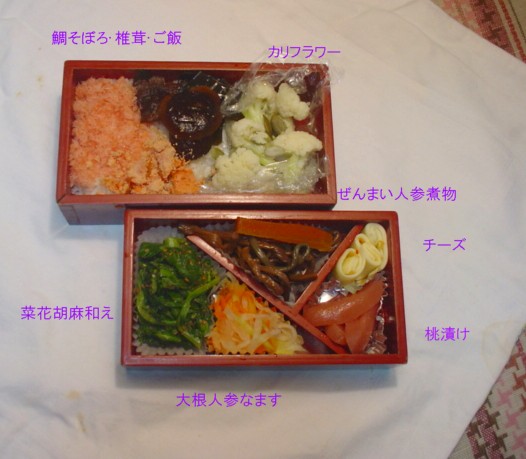 何故そこで怒らないの?と言われて_e0074955_22104730.jpg
