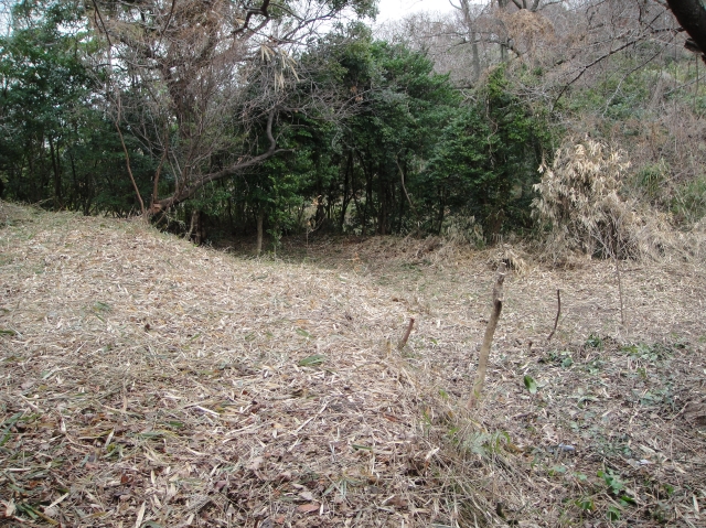 c0108460_1815993.jpg