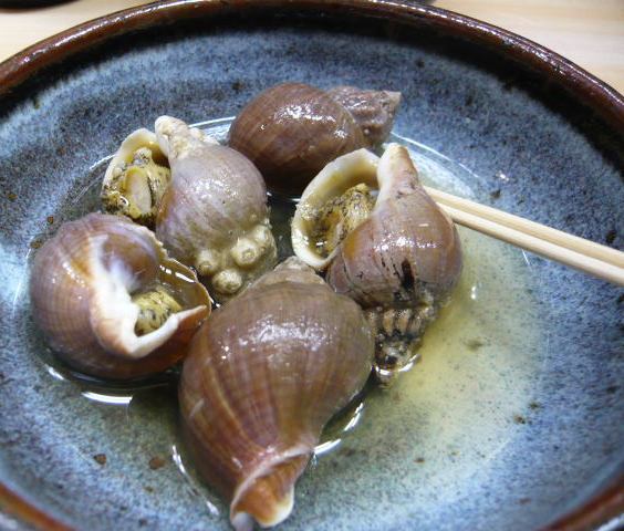 タマテ~一軒家_c0100865_7325872.jpg